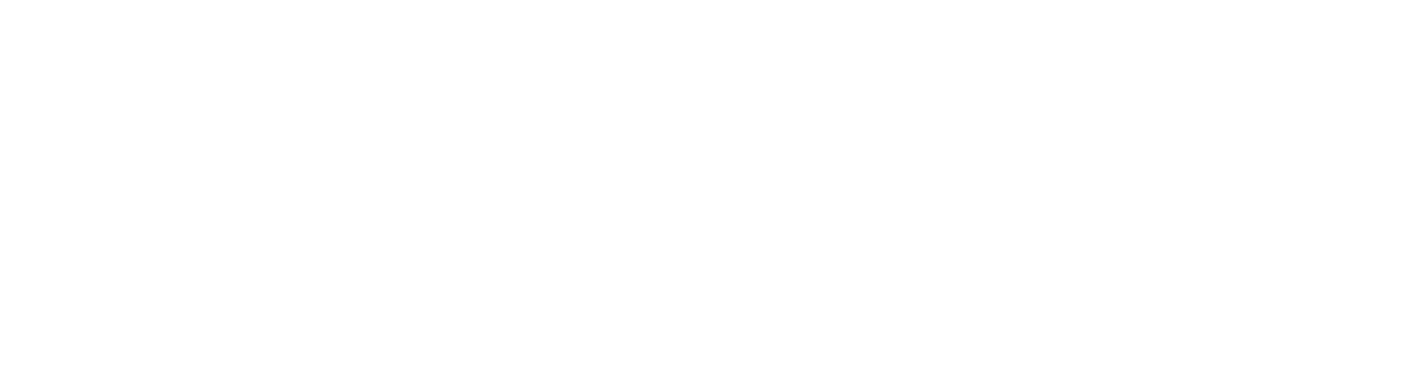 borderlessbiz.com